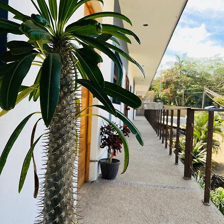 Hotel Samanu Sayulita Dış mekan fotoğraf